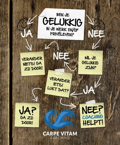 Carpe Vitam coaching