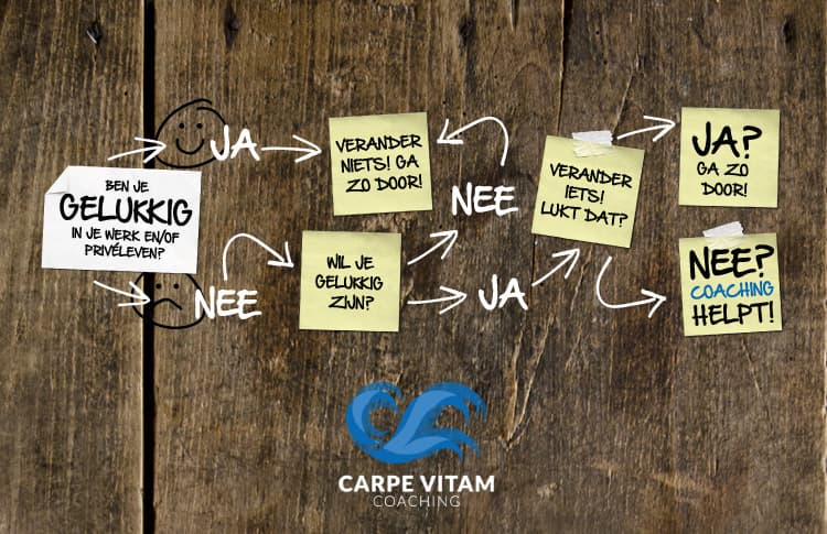 Carpe Vitam coaching